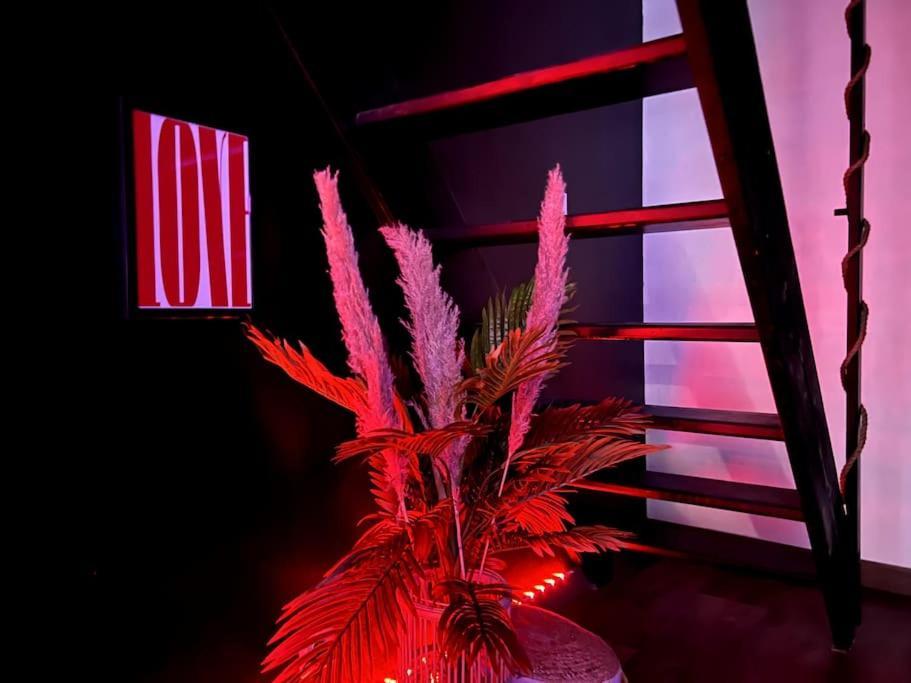 Red Love-Room / Balneo & Plus ! Souppes-sur-Loing Bagian luar foto